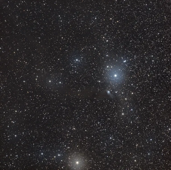 LDN 1217 (Dark Nebula)