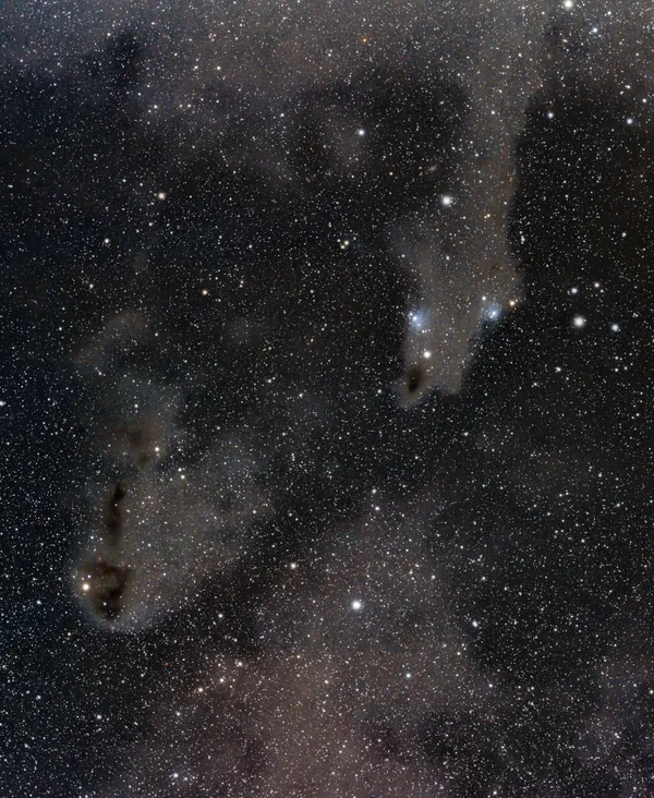 LDN 1235 (Dark Shark Nebula)