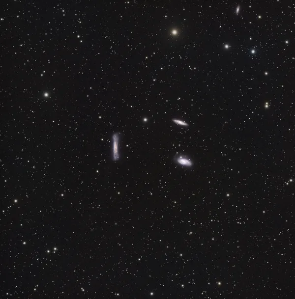 Leo Triplet (M65/M66/NGC 3628)