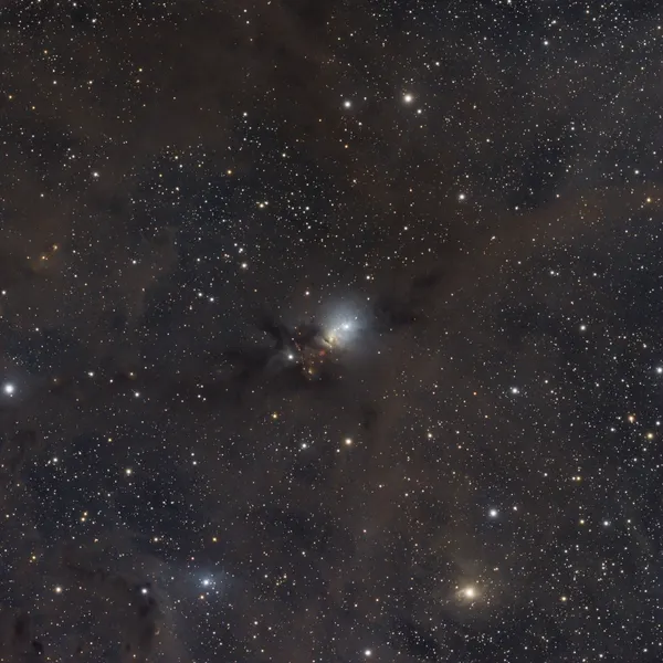 NGC 1333