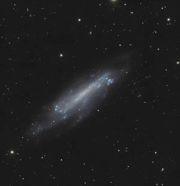 NGC 4236 (Caldwell 3)
