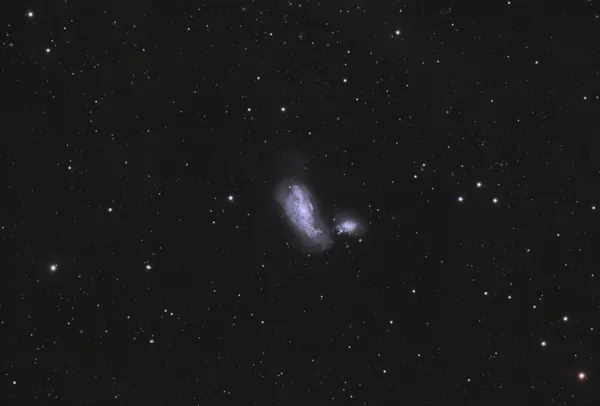 NGC 4490 (Cocoon Galaxy)
