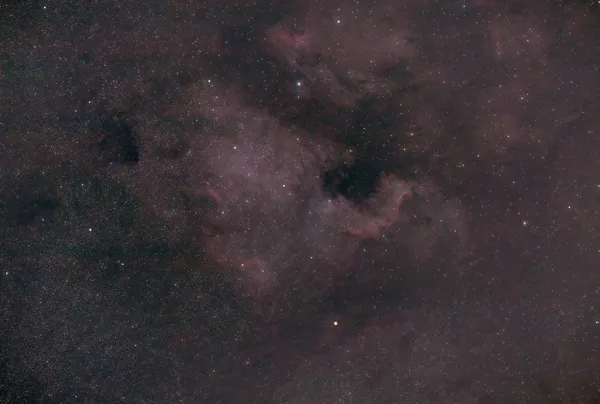 North America Nebula (NGC 7000)