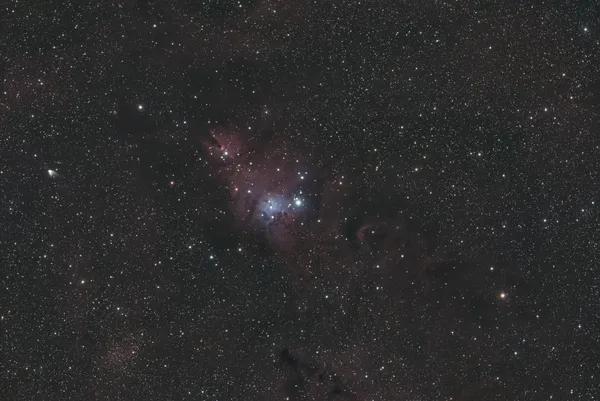 Christmas Tree Cluster (NGC 2264)