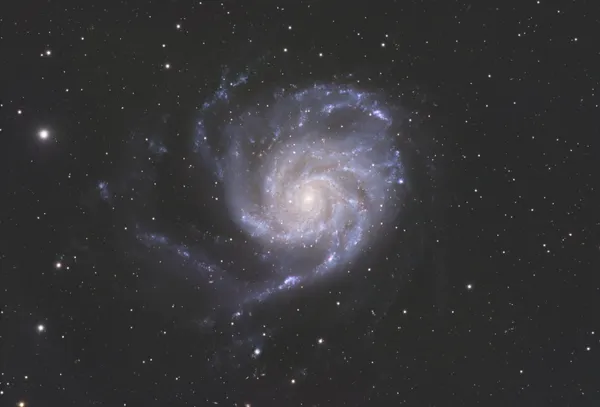 Pinwheel Galaxy (M101)